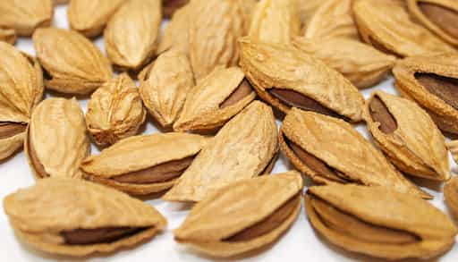 تصویر 2 از بادام درختی جنگلی پوست کاغذی ممتاز
